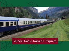 golden eagle